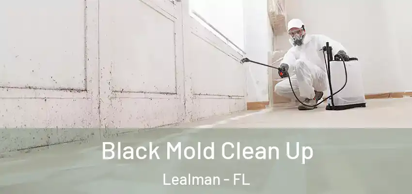  Black Mold Clean Up Lealman - FL
