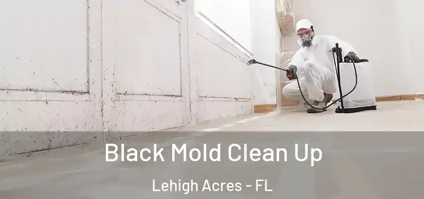  Black Mold Clean Up Lehigh Acres - FL