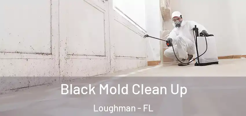  Black Mold Clean Up Loughman - FL