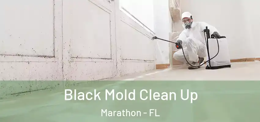  Black Mold Clean Up Marathon - FL