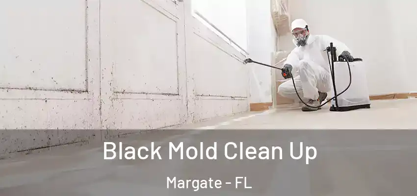  Black Mold Clean Up Margate - FL