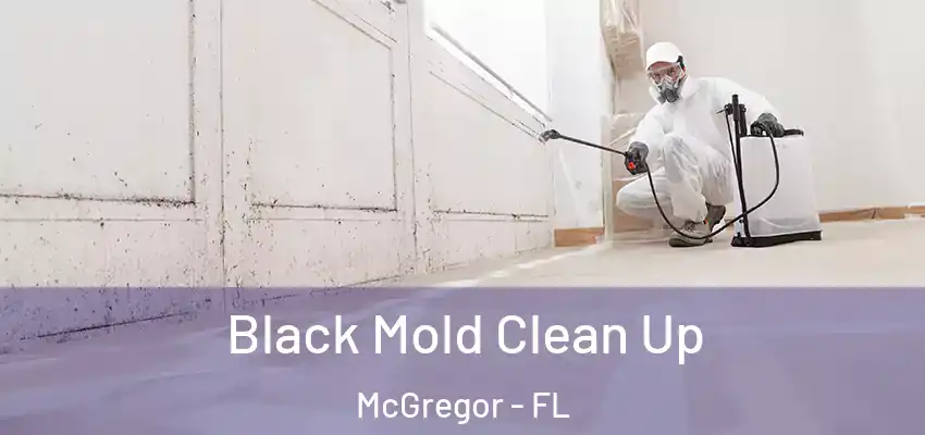 Black Mold Clean Up McGregor - FL