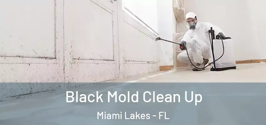 Black Mold Clean Up Miami Lakes - FL