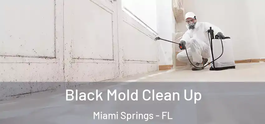 Black Mold Clean Up Miami Springs - FL