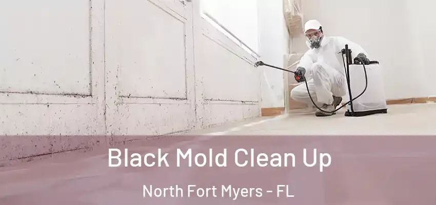 Black Mold Clean Up North Fort Myers - FL
