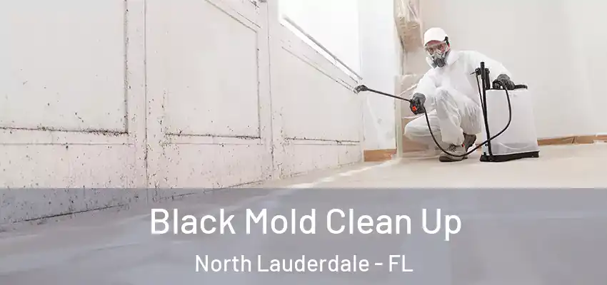  Black Mold Clean Up North Lauderdale - FL