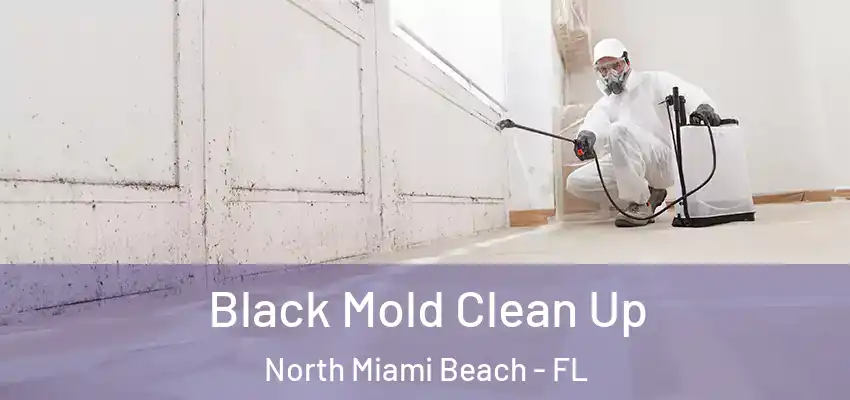 Black Mold Clean Up North Miami Beach - FL