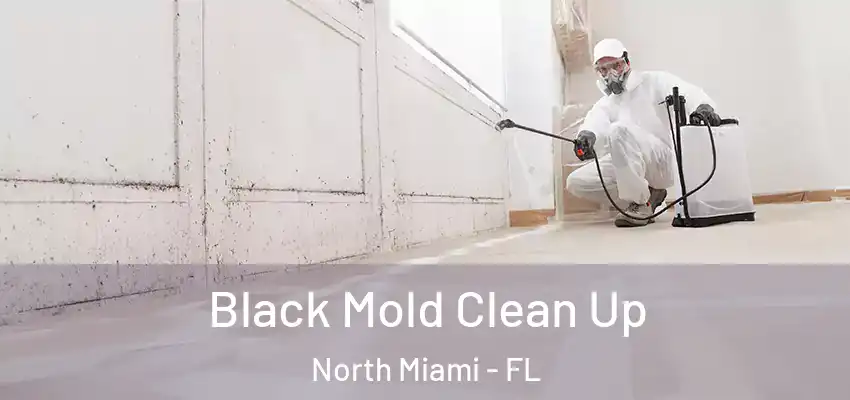Black Mold Clean Up North Miami - FL