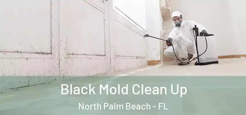  Black Mold Clean Up North Palm Beach - FL