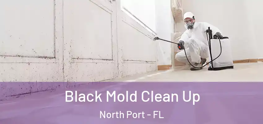 Black Mold Clean Up North Port - FL