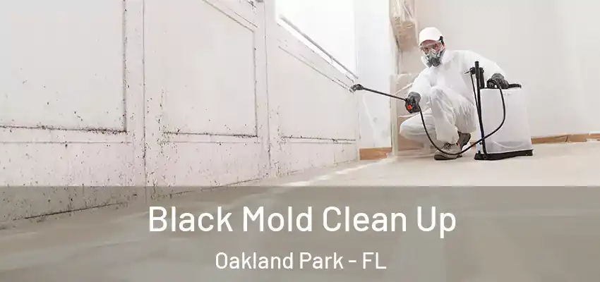  Black Mold Clean Up Oakland Park - FL