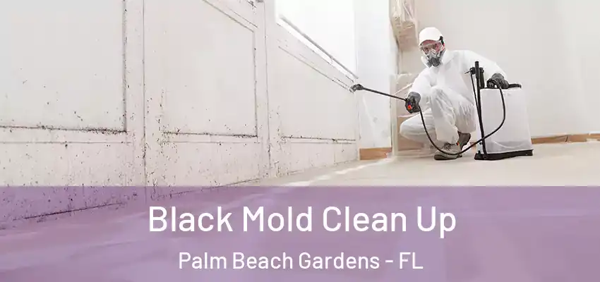 Black Mold Clean Up Palm Beach Gardens - FL