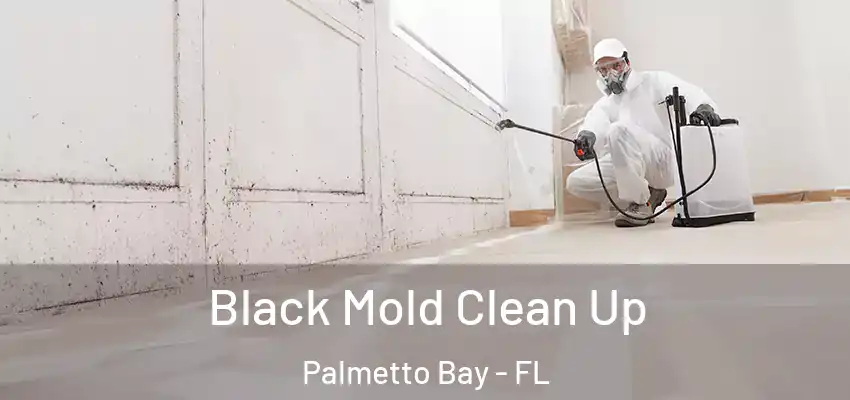 Black Mold Clean Up Palmetto Bay - FL