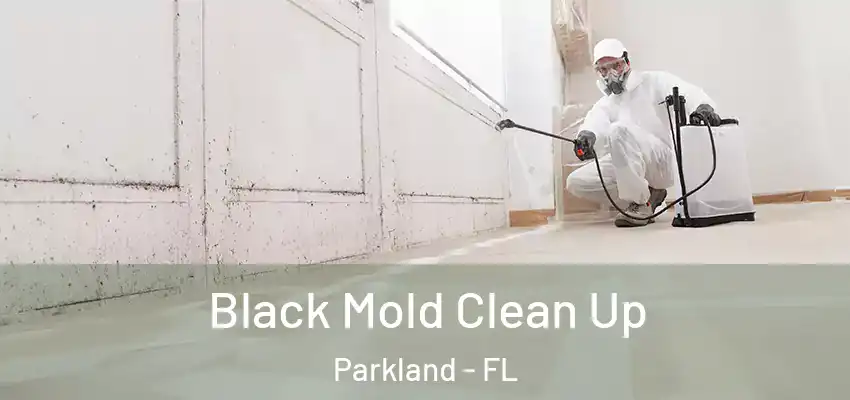 Black Mold Clean Up Parkland - FL