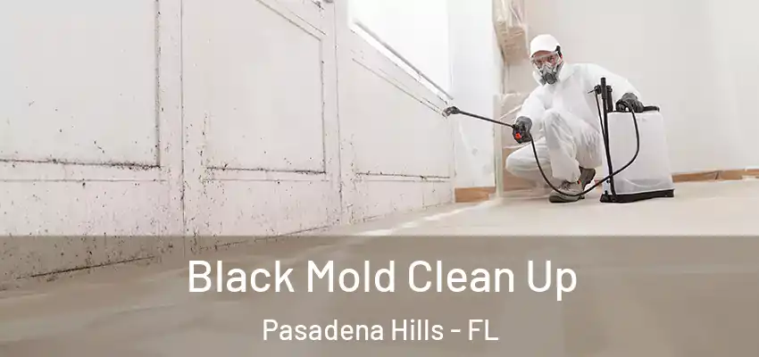 Black Mold Clean Up Pasadena Hills - FL