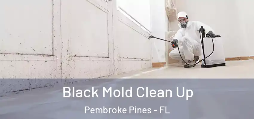 Black Mold Clean Up Pembroke Pines - FL