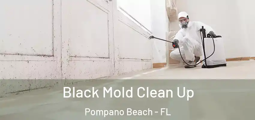  Black Mold Clean Up Pompano Beach - FL