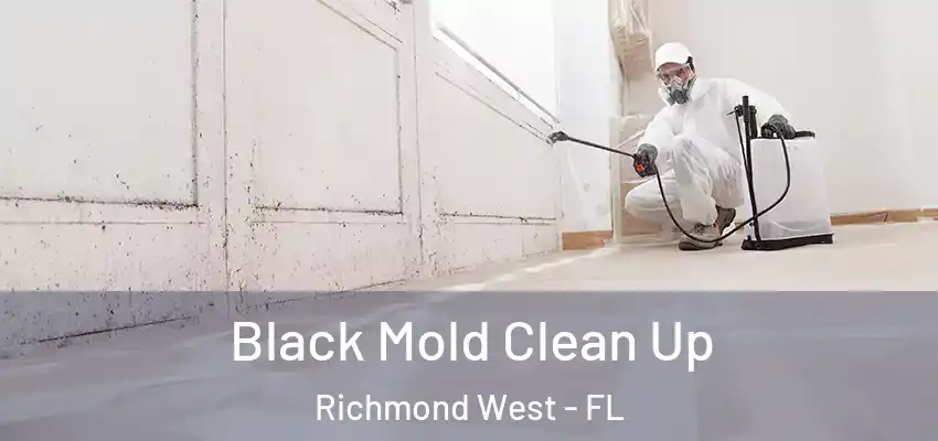 Black Mold Clean Up Richmond West - FL
