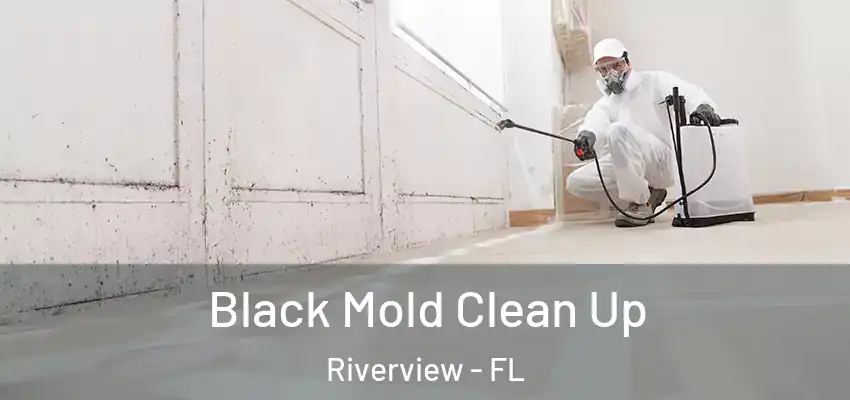 Black Mold Clean Up Riverview - FL