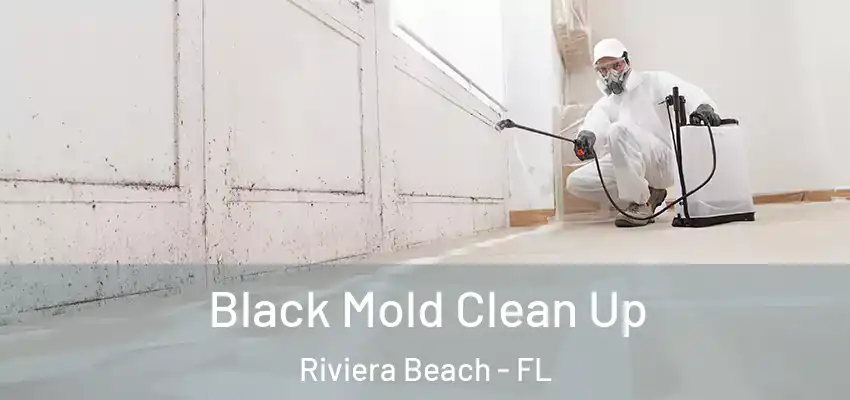 Black Mold Clean Up Riviera Beach - FL