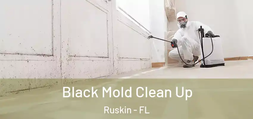 Black Mold Clean Up Ruskin - FL
