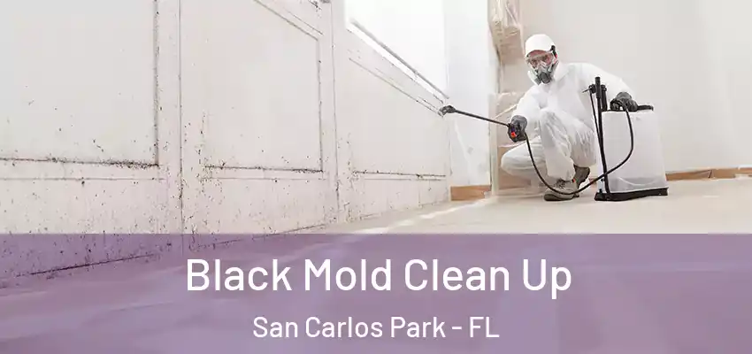  Black Mold Clean Up San Carlos Park - FL
