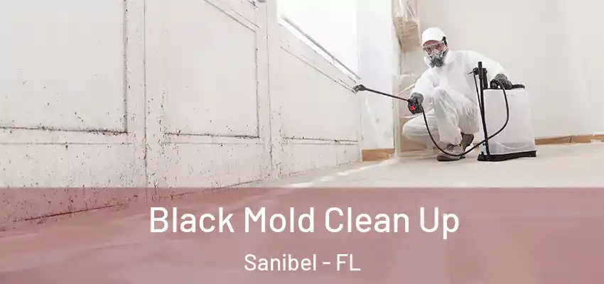  Black Mold Clean Up Sanibel - FL