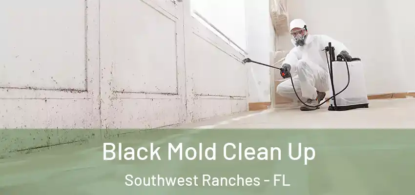  Black Mold Clean Up Southwest Ranches - FL