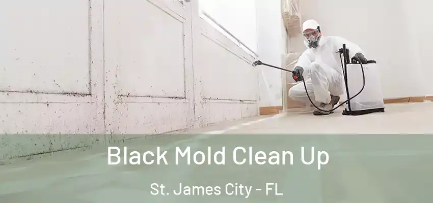 Black Mold Clean Up St. James City - FL