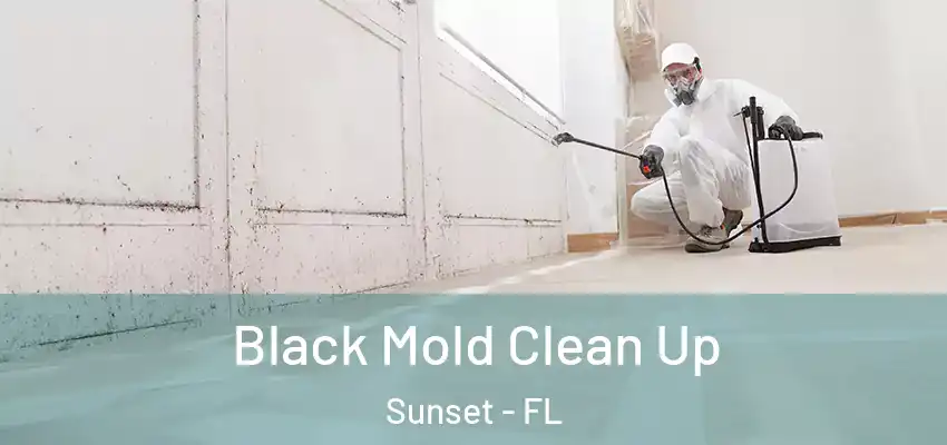 Black Mold Clean Up Sunset - FL