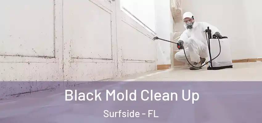 Black Mold Clean Up Surfside - FL