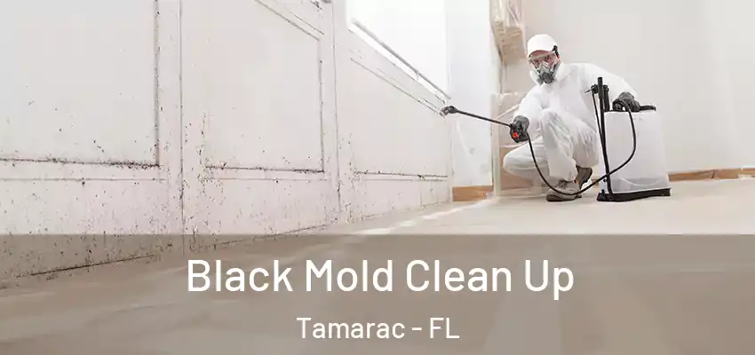  Black Mold Clean Up Tamarac - FL