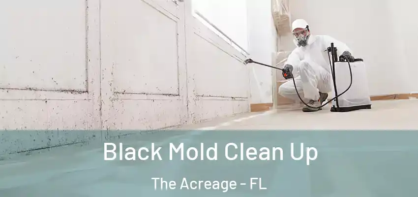  Black Mold Clean Up The Acreage - FL
