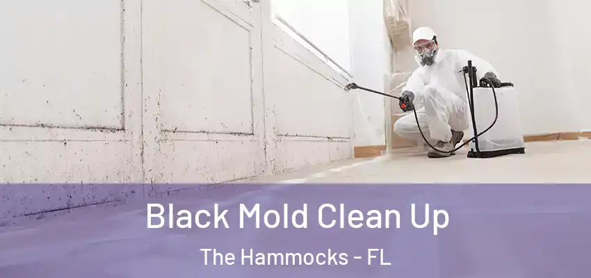 Black Mold Clean Up The Hammocks - FL
