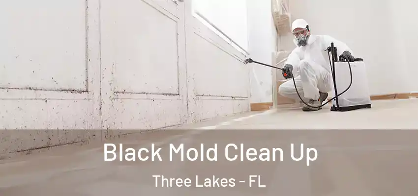 Black Mold Clean Up Three Lakes - FL