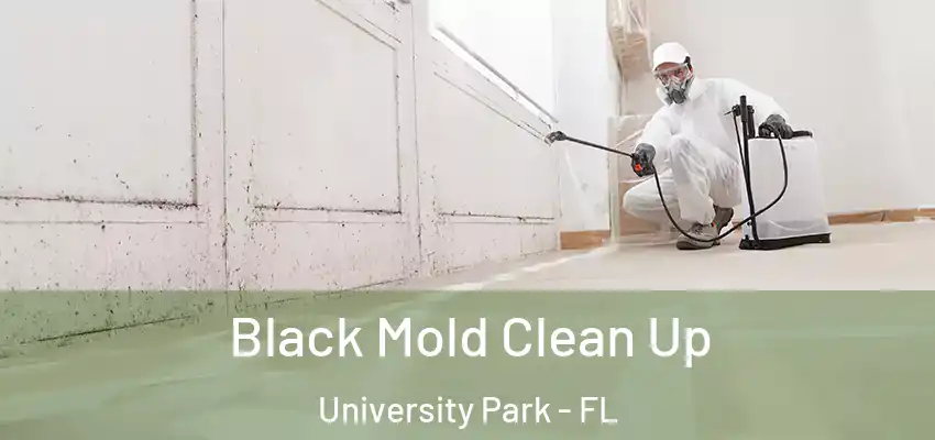  Black Mold Clean Up University Park - FL