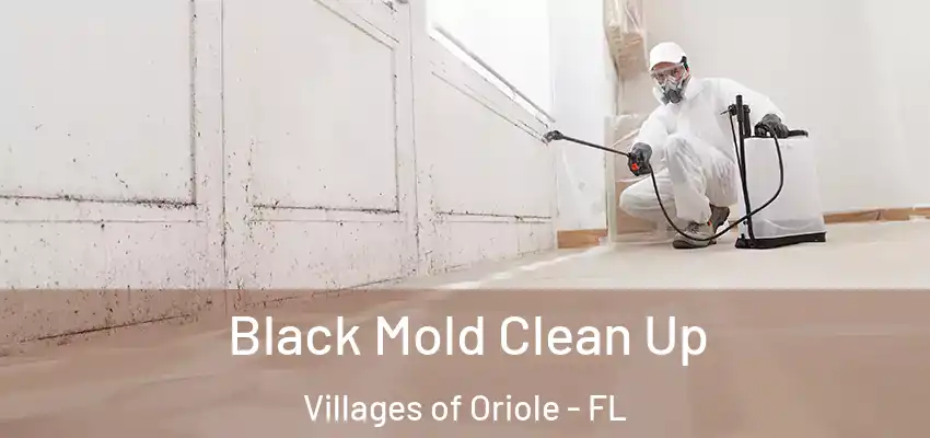 Black Mold Clean Up Villages of Oriole - FL