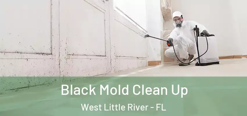 Black Mold Clean Up West Little River - FL