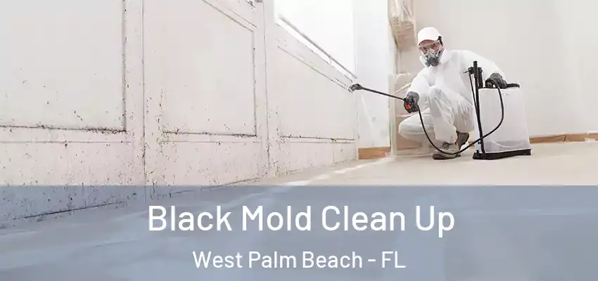  Black Mold Clean Up West Palm Beach - FL