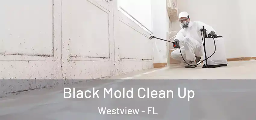 Black Mold Clean Up Westview - FL