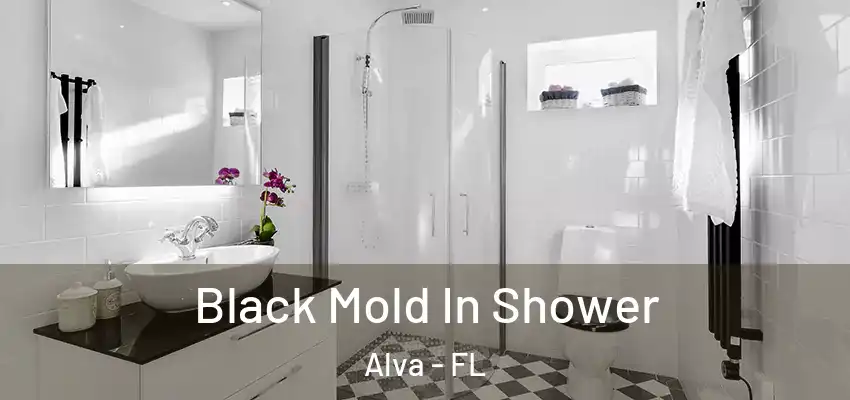 Black Mold In Shower Alva - FL