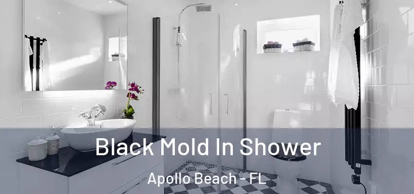  Black Mold In Shower Apollo Beach - FL