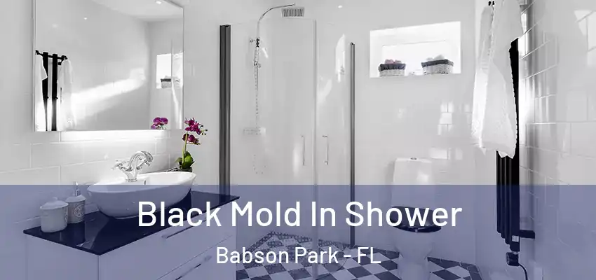  Black Mold In Shower Babson Park - FL