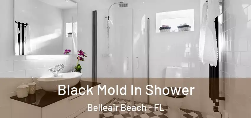 Black Mold In Shower Belleair Beach - FL