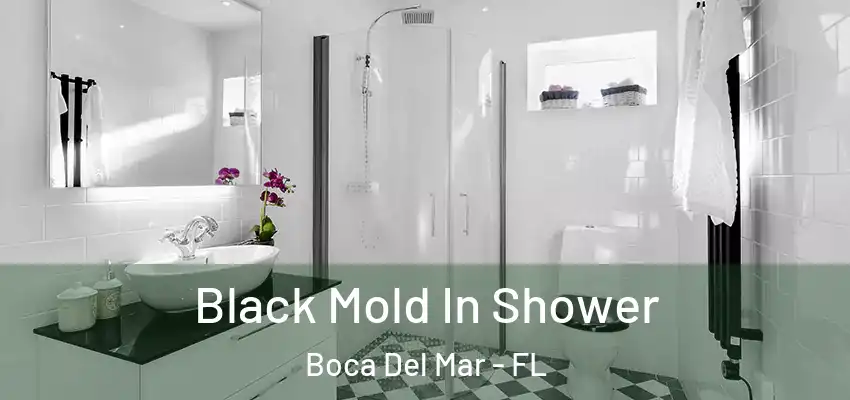  Black Mold In Shower Boca Del Mar - FL