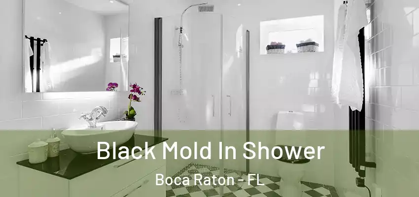  Black Mold In Shower Boca Raton - FL