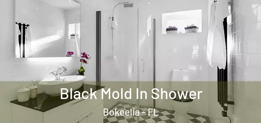  Black Mold In Shower Bokeelia - FL