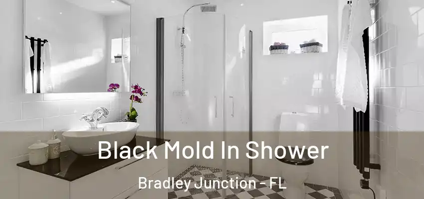Black Mold In Shower Bradley Junction - FL