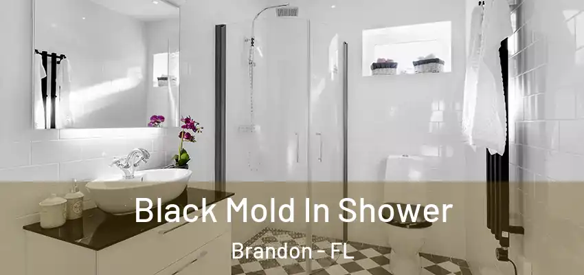 Black Mold In Shower Brandon - FL