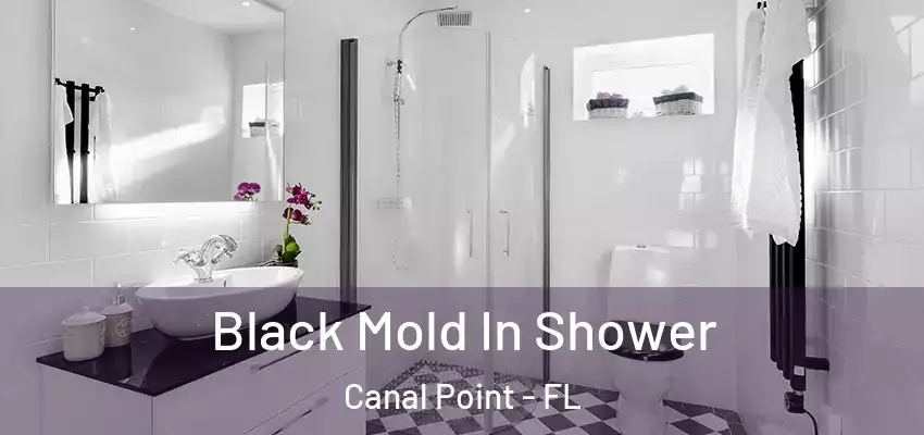  Black Mold In Shower Canal Point - FL